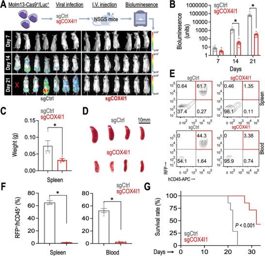 https://cdn.ncbi.nlm.nih.gov/pmc/blobs/a3c9/11809339/e9576bb97395/ADVS-12-2404620-g001.jpg
