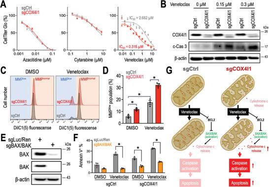 https://cdn.ncbi.nlm.nih.gov/pmc/blobs/a3c9/11809339/fe917143dbf5/ADVS-12-2404620-g006.jpg