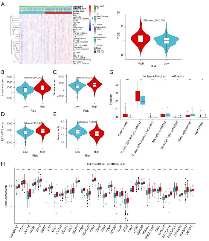 https://cdn.ncbi.nlm.nih.gov/pmc/blobs/a3c9/12076249/326bfa9a1304/tau-14-04-986-f7.jpg