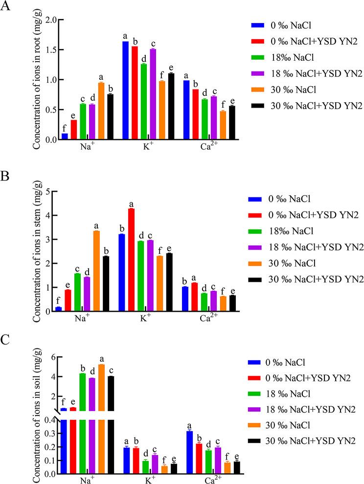 https://cdn.ncbi.nlm.nih.gov/pmc/blobs/a3cb/12039251/5907bb9c8c60/12870_2025_6562_Fig8_HTML.jpg