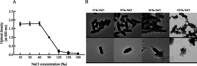 https://cdn.ncbi.nlm.nih.gov/pmc/blobs/a3cb/12039251/71d0dbbc81a5/12870_2025_6562_Fig1_HTML.jpg