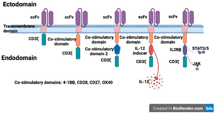 https://cdn.ncbi.nlm.nih.gov/pmc/blobs/a3d0/11200794/c6b749e30043/biomedicines-12-01194-g001.jpg