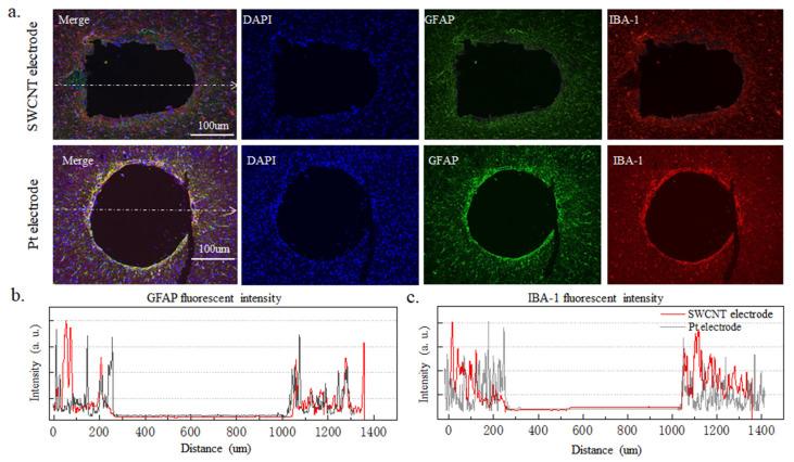 https://cdn.ncbi.nlm.nih.gov/pmc/blobs/a3d2/10856774/fd301fccbabd/nanomaterials-14-00240-g006.jpg