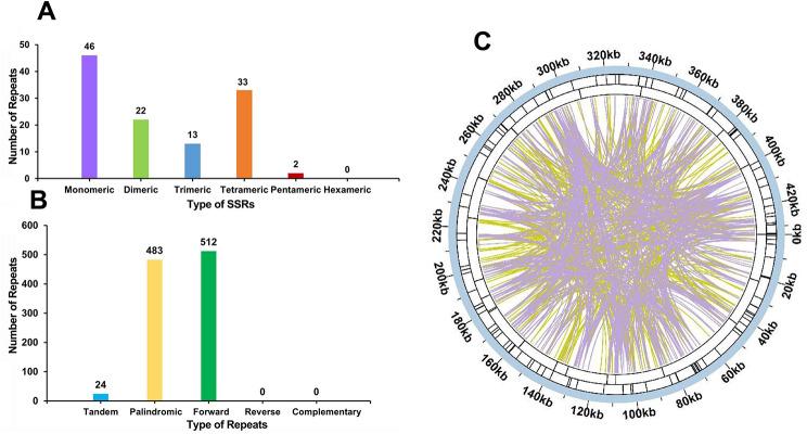 https://cdn.ncbi.nlm.nih.gov/pmc/blobs/a3d2/11069145/33632123dab2/12870_2024_4978_Fig4_HTML.jpg