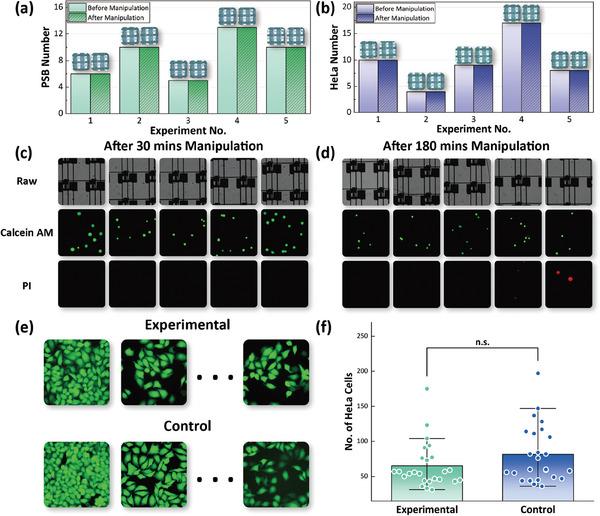 https://cdn.ncbi.nlm.nih.gov/pmc/blobs/a3d2/11906218/e21a43491a51/ADVS-12-2408353-g006.jpg