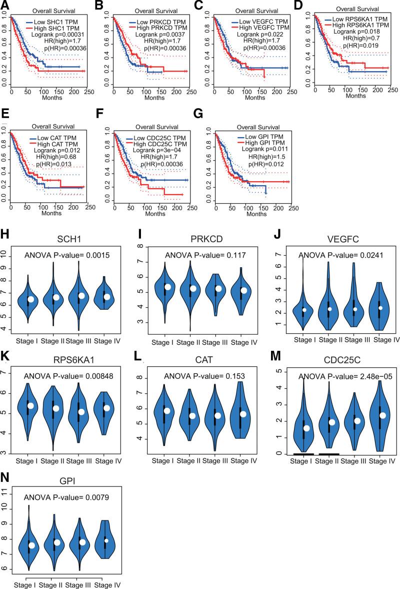 https://cdn.ncbi.nlm.nih.gov/pmc/blobs/a3d2/9575749/4b5501dee807/medi-101-e30982-g006.jpg