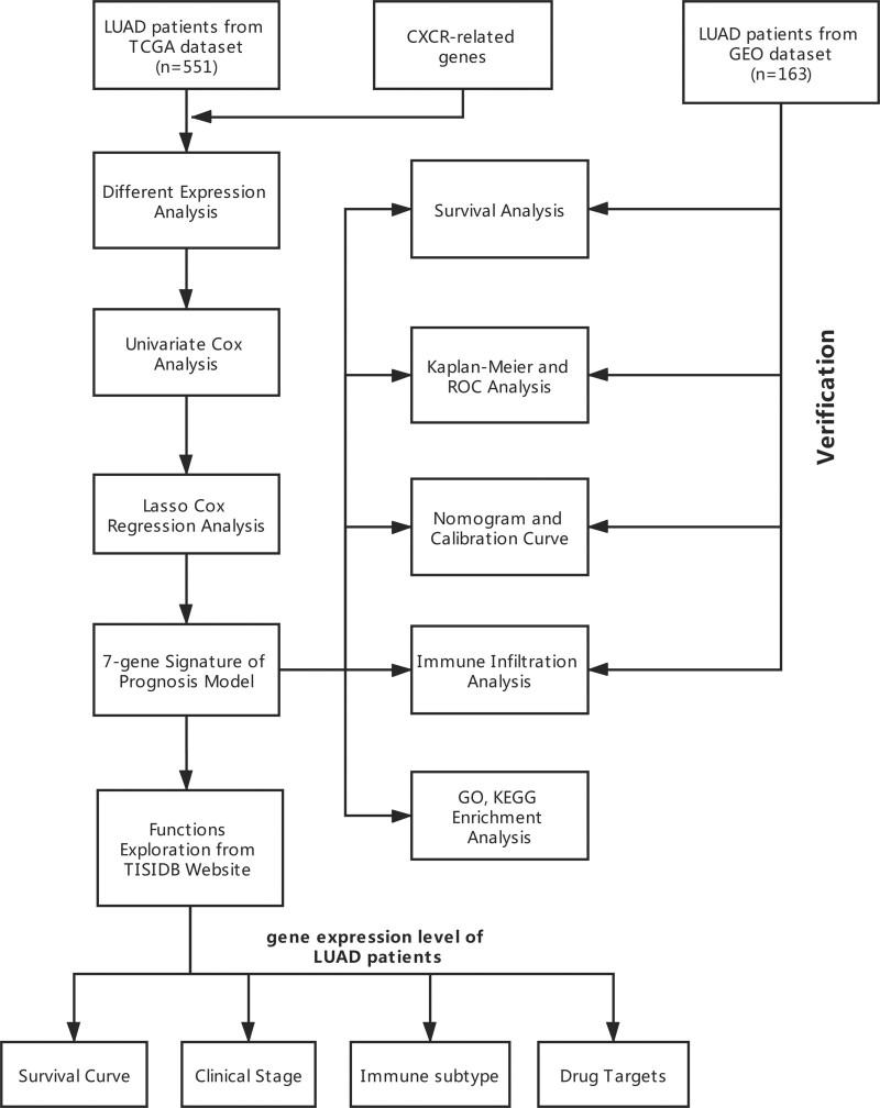 https://cdn.ncbi.nlm.nih.gov/pmc/blobs/a3d2/9575749/4e4a84c98bf1/medi-101-e30982-g001.jpg