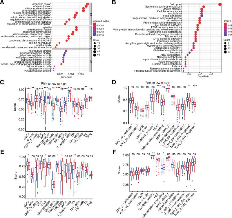 https://cdn.ncbi.nlm.nih.gov/pmc/blobs/a3d2/9575749/9dba4d28ea27/medi-101-e30982-g005.jpg