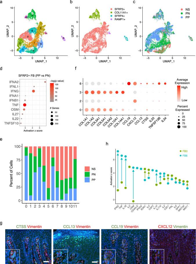 https://cdn.ncbi.nlm.nih.gov/pmc/blobs/a3d3/10261041/47d0c2ab6887/41467_2023_39020_Fig4_HTML.jpg