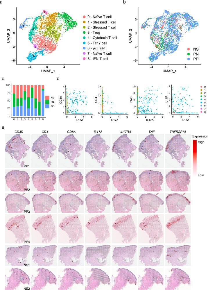 https://cdn.ncbi.nlm.nih.gov/pmc/blobs/a3d3/10261041/cdcb8fd19c0f/41467_2023_39020_Fig5_HTML.jpg