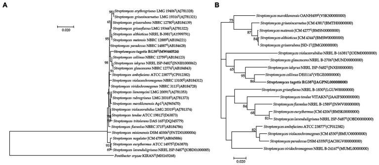 https://cdn.ncbi.nlm.nih.gov/pmc/blobs/a3d3/10940327/9fc2f92a4eba/fmicb-15-1361583-g001.jpg