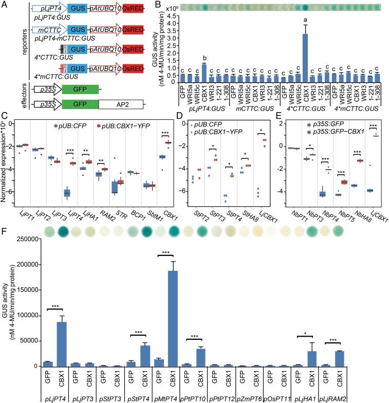 https://cdn.ncbi.nlm.nih.gov/pmc/blobs/a3d6/6166803/707efbcdfd03/pnas.1812275115fig03.jpg