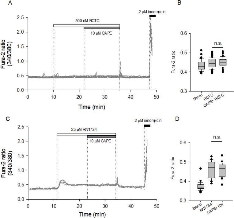 https://cdn.ncbi.nlm.nih.gov/pmc/blobs/a3d7/11794178/0532896f38e4/gr5.jpg