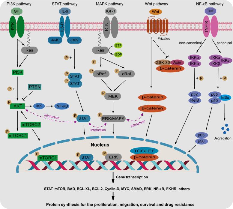 https://cdn.ncbi.nlm.nih.gov/pmc/blobs/a3d8/11222366/49188c5cb959/43556_2024_188_Fig1_HTML.jpg