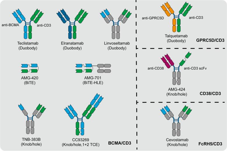 https://cdn.ncbi.nlm.nih.gov/pmc/blobs/a3d8/11222366/82d4efc7e149/43556_2024_188_Fig4_HTML.jpg