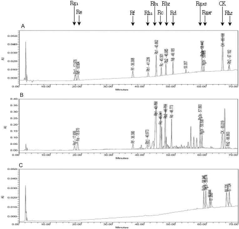 https://cdn.ncbi.nlm.nih.gov/pmc/blobs/a3d8/3741568/9e2252d9eefd/mb-38-153-g001.jpg