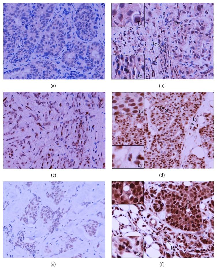 https://cdn.ncbi.nlm.nih.gov/pmc/blobs/a3d8/5061970/20f10a9d2fa7/JIR2016-4757405.005.jpg