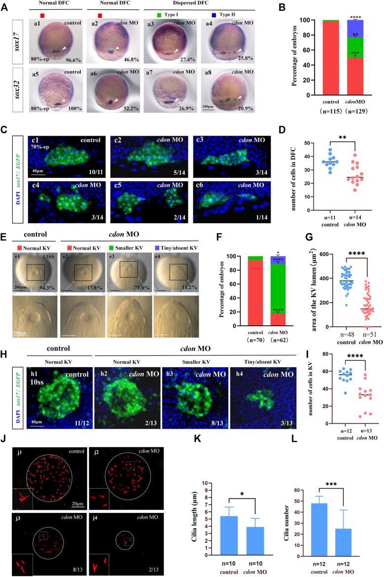 https://cdn.ncbi.nlm.nih.gov/pmc/blobs/a3d9/11374761/7142741b2e82/fcell-12-1429782-g003.jpg