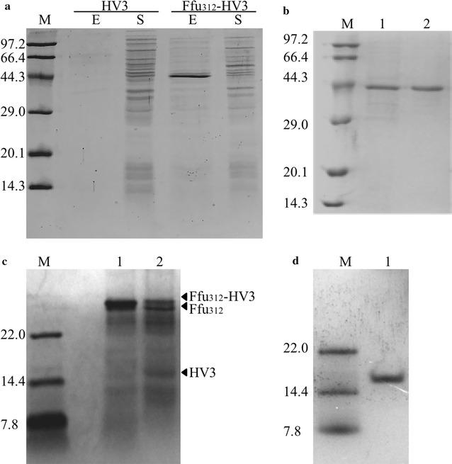 https://cdn.ncbi.nlm.nih.gov/pmc/blobs/a3d9/5740907/c4b5ab5974c7/12934_2017_845_Fig5_HTML.jpg