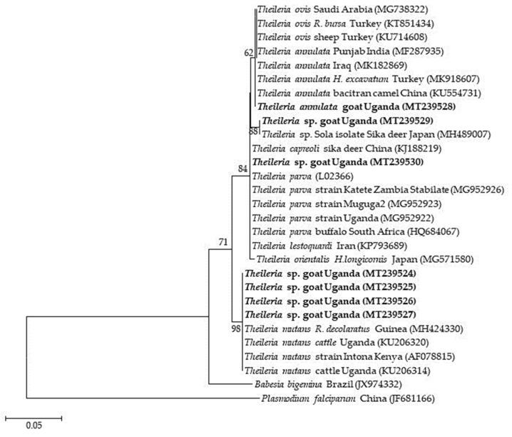 https://cdn.ncbi.nlm.nih.gov/pmc/blobs/a3dc/7692732/e30c64694a69/pathogens-09-00895-g004.jpg