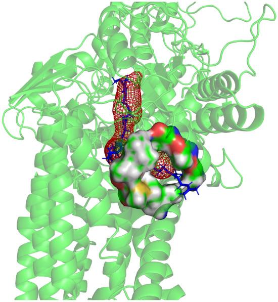 https://cdn.ncbi.nlm.nih.gov/pmc/blobs/a3dd/10663621/6c2695fca2f6/41598_2023_47314_Fig1_HTML.jpg