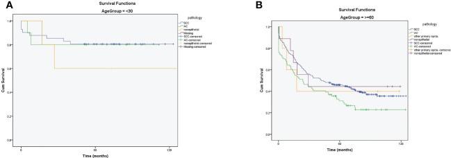 https://cdn.ncbi.nlm.nih.gov/pmc/blobs/a3de/10156133/826e0d524fc3/fonc-13-1132369-g005.jpg