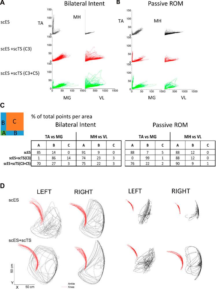 https://cdn.ncbi.nlm.nih.gov/pmc/blobs/a3e0/9932494/75c8cc35051c/fbioe-11-1073716-g003.jpg