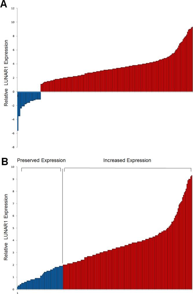 https://cdn.ncbi.nlm.nih.gov/pmc/blobs/a3e2/6934546/6c6ac1c2e38d/41598_2019_56536_Fig1_HTML.jpg