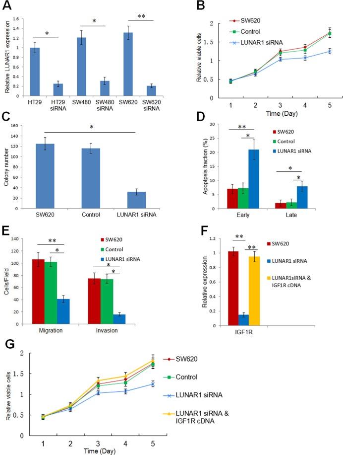 https://cdn.ncbi.nlm.nih.gov/pmc/blobs/a3e2/6934546/8b800d240741/41598_2019_56536_Fig4_HTML.jpg
