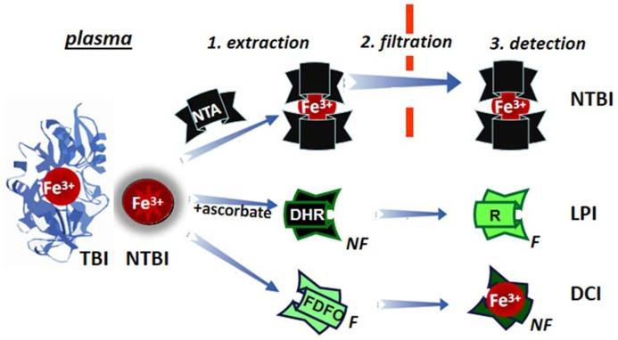 https://cdn.ncbi.nlm.nih.gov/pmc/blobs/a3e5/3952030/6cb348ac5886/fphar-05-00045-g007.jpg