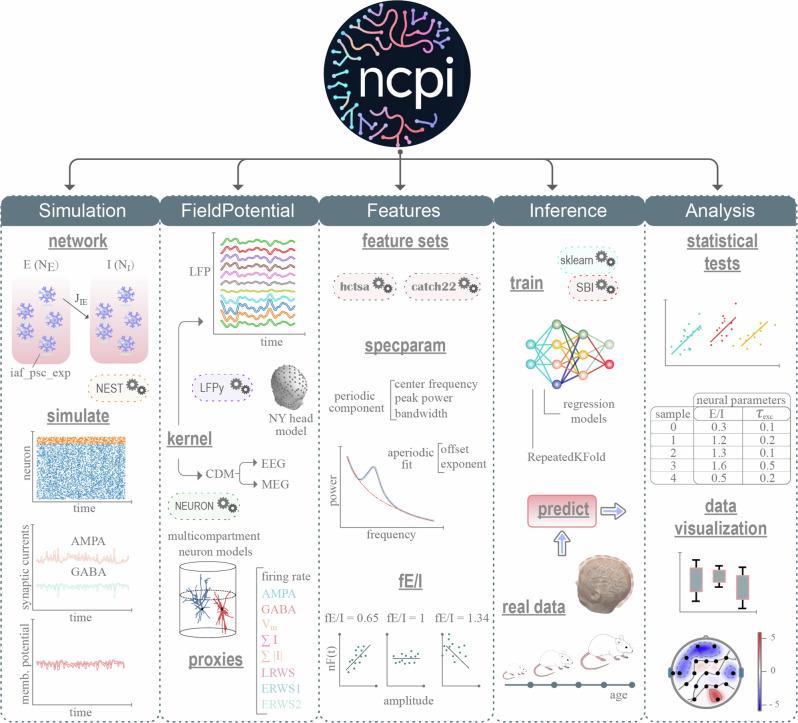 https://cdn.ncbi.nlm.nih.gov/pmc/blobs/a3e6/12064716/395a6625aa17/41540_2025_527_Fig1_HTML.jpg