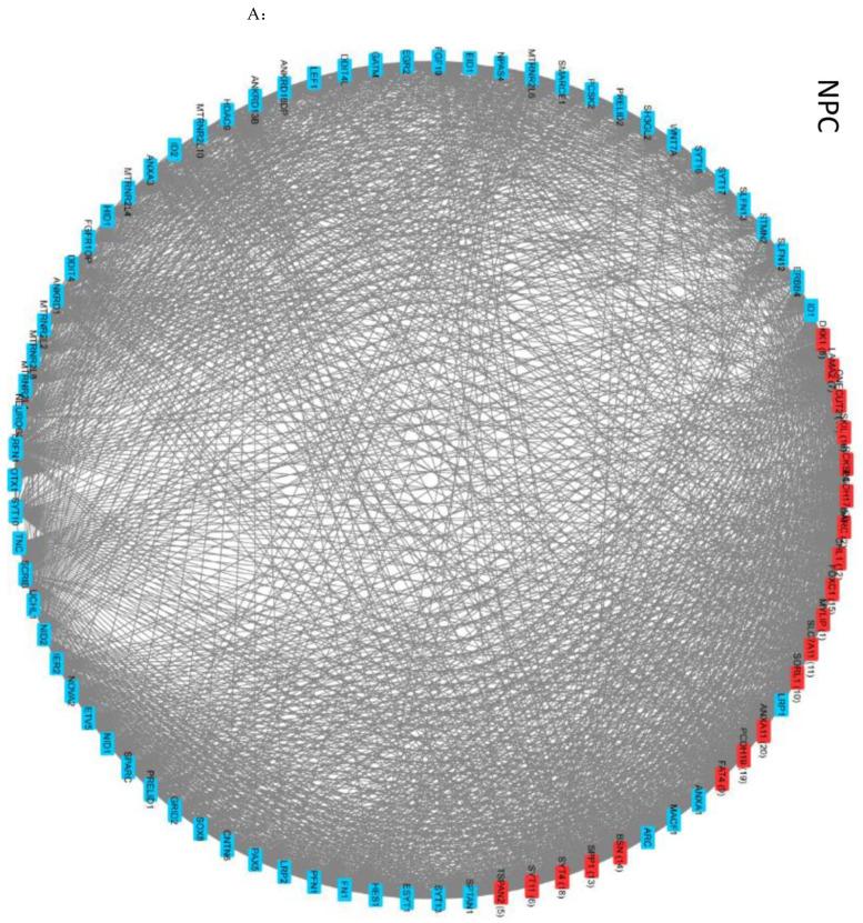 https://cdn.ncbi.nlm.nih.gov/pmc/blobs/a3e8/11171963/50d24a8f0890/ijms-25-05647-g004a.jpg