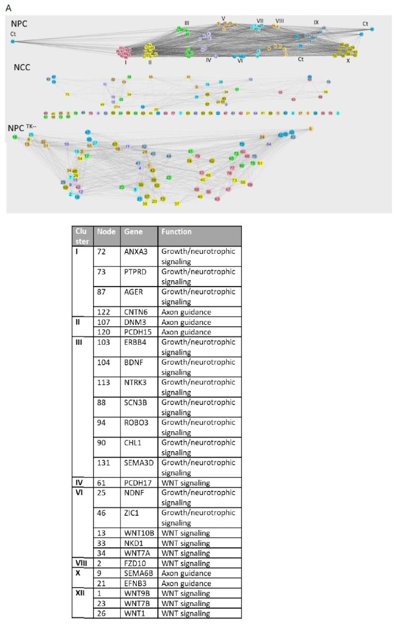 https://cdn.ncbi.nlm.nih.gov/pmc/blobs/a3e8/11171963/6ea3490250dd/ijms-25-05647-g005a.jpg