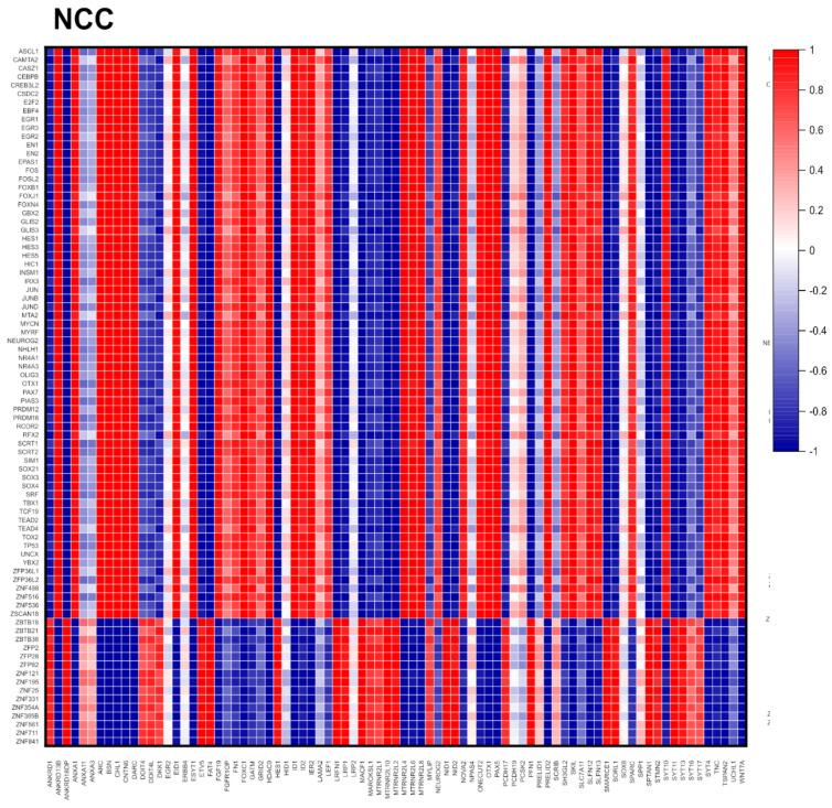 https://cdn.ncbi.nlm.nih.gov/pmc/blobs/a3e8/11171963/81207faba029/ijms-25-05647-g006a.jpg