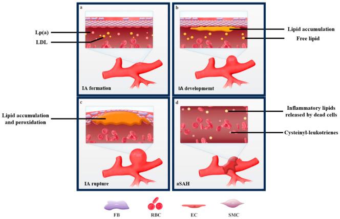 https://cdn.ncbi.nlm.nih.gov/pmc/blobs/a3e9/10669412/b7af03905e64/biomolecules-13-01652-g001.jpg