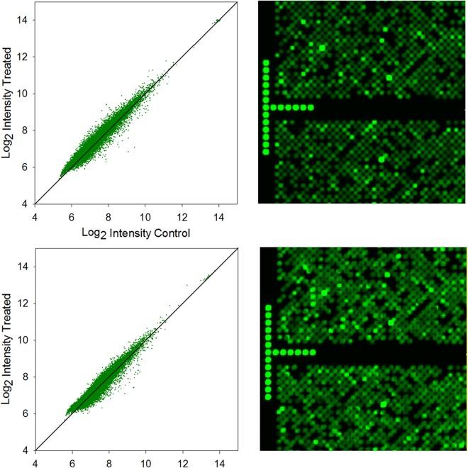 https://cdn.ncbi.nlm.nih.gov/pmc/blobs/a3ea/6180089/d58b97efa112/41598_2018_33311_Fig6_HTML.jpg
