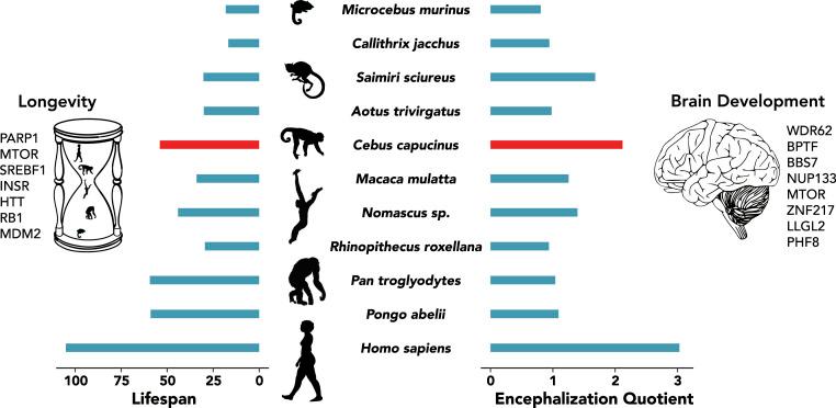 https://cdn.ncbi.nlm.nih.gov/pmc/blobs/a3ea/7896301/1c99dc95c391/pnas.2010632118fig04.jpg