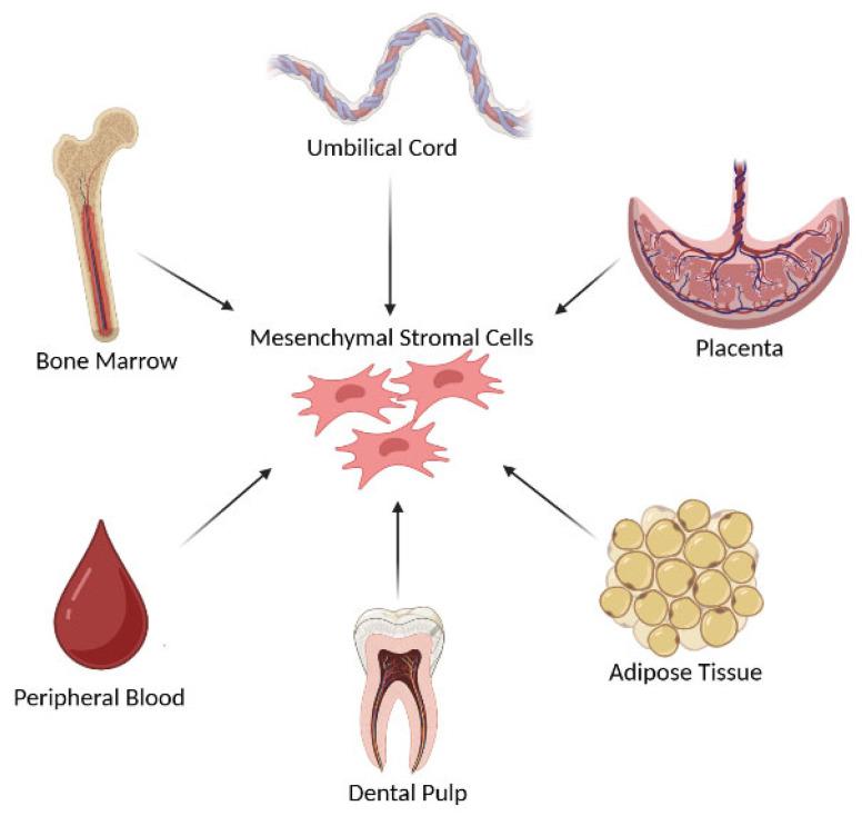 https://cdn.ncbi.nlm.nih.gov/pmc/blobs/a3eb/12383523/30606afc6a3b/bioengineering-12-00844-g001.jpg