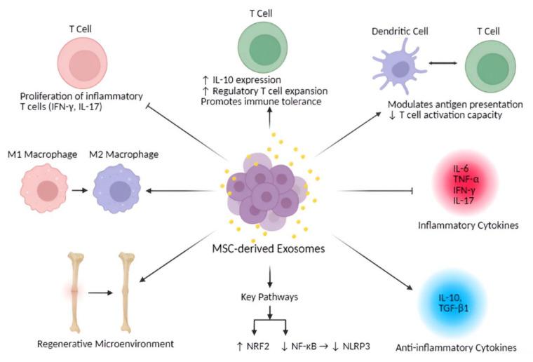 https://cdn.ncbi.nlm.nih.gov/pmc/blobs/a3eb/12383523/9ac7a1e7bb97/bioengineering-12-00844-g002.jpg
