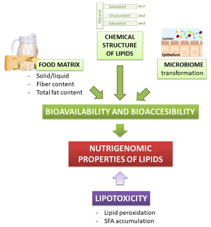 https://cdn.ncbi.nlm.nih.gov/pmc/blobs/a3eb/8300813/d183963b0d09/antioxidants-10-00994-g002.jpg