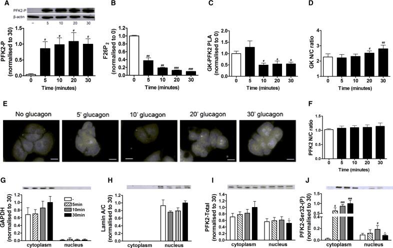 https://cdn.ncbi.nlm.nih.gov/pmc/blobs/a3ec/4024195/0aa31b6021b4/gr7.jpg