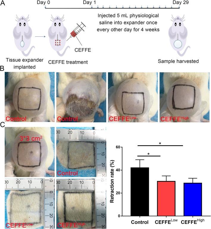 https://cdn.ncbi.nlm.nih.gov/pmc/blobs/a3ef/7001260/4a28cdeed237/13287_2020_1564_Fig1_HTML.jpg