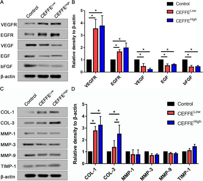 https://cdn.ncbi.nlm.nih.gov/pmc/blobs/a3ef/7001260/f866d3f8124f/13287_2020_1564_Fig5_HTML.jpg