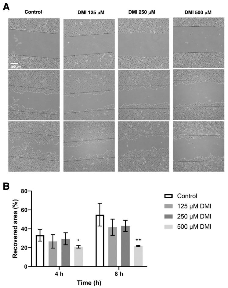 https://cdn.ncbi.nlm.nih.gov/pmc/blobs/a3f0/9783644/0c3deb61d30c/ijms-23-15972-g005.jpg