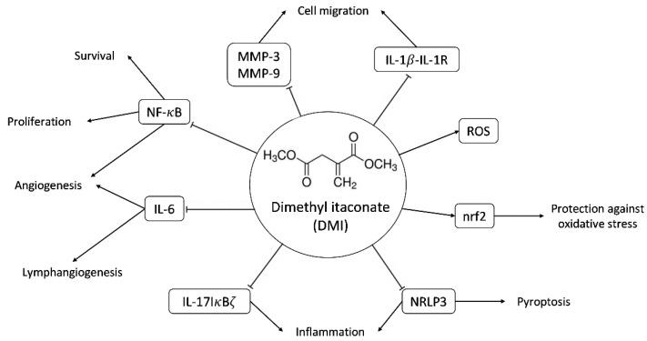 https://cdn.ncbi.nlm.nih.gov/pmc/blobs/a3f0/9783644/61bcb1a7edd5/ijms-23-15972-g001.jpg