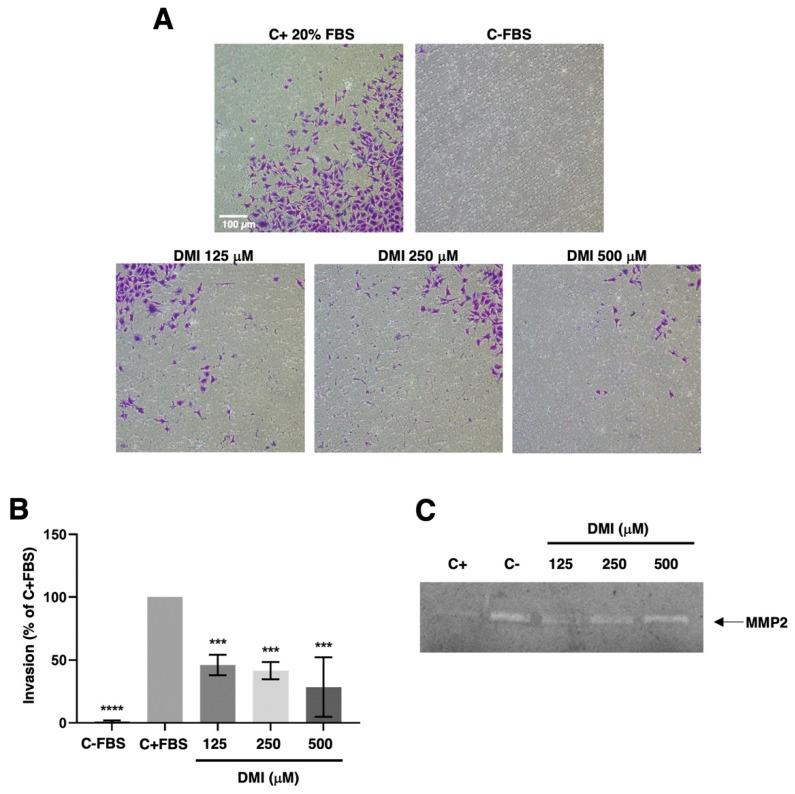 https://cdn.ncbi.nlm.nih.gov/pmc/blobs/a3f0/9783644/e8d87bf35415/ijms-23-15972-g006.jpg