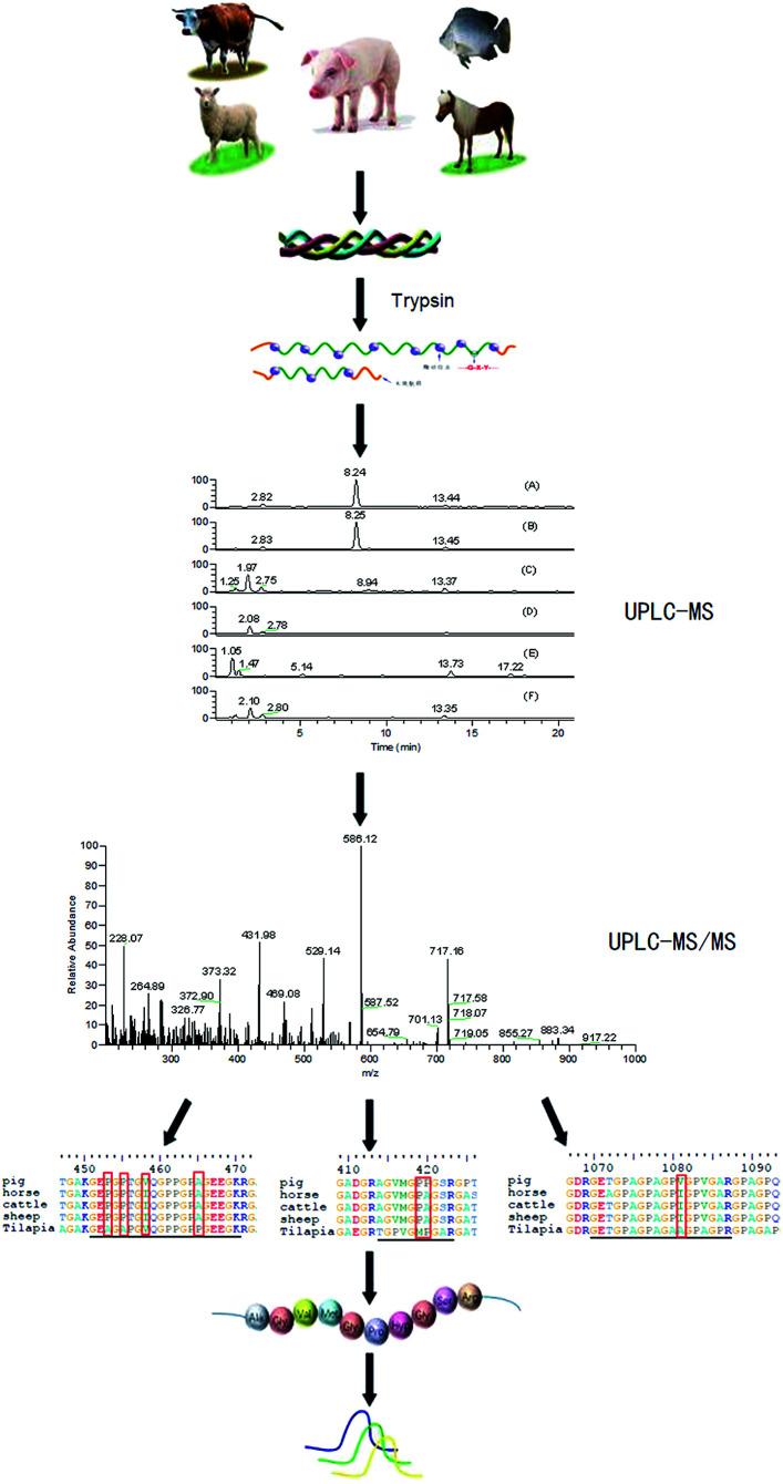https://cdn.ncbi.nlm.nih.gov/pmc/blobs/a3f3/9077692/ced6cdc55118/c7ra12539a-f1.jpg