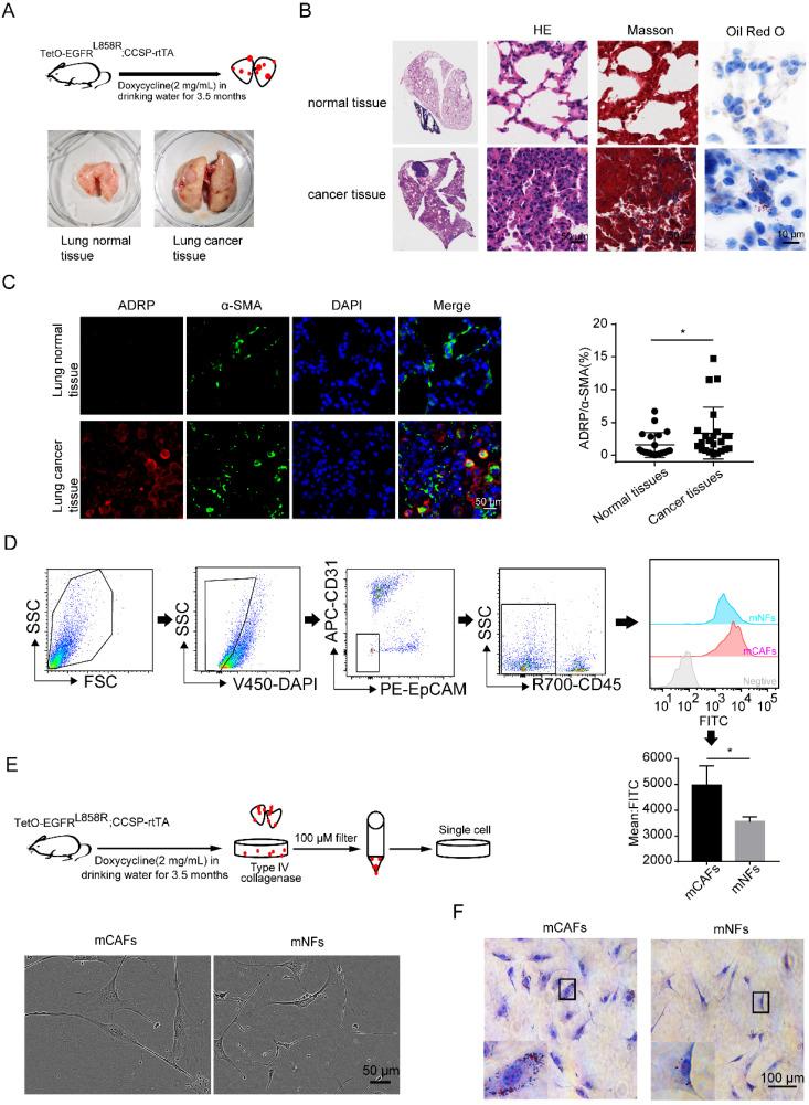 https://cdn.ncbi.nlm.nih.gov/pmc/blobs/a3f3/9682541/1f251a7cc2e4/ijbsv18p6114g001.jpg