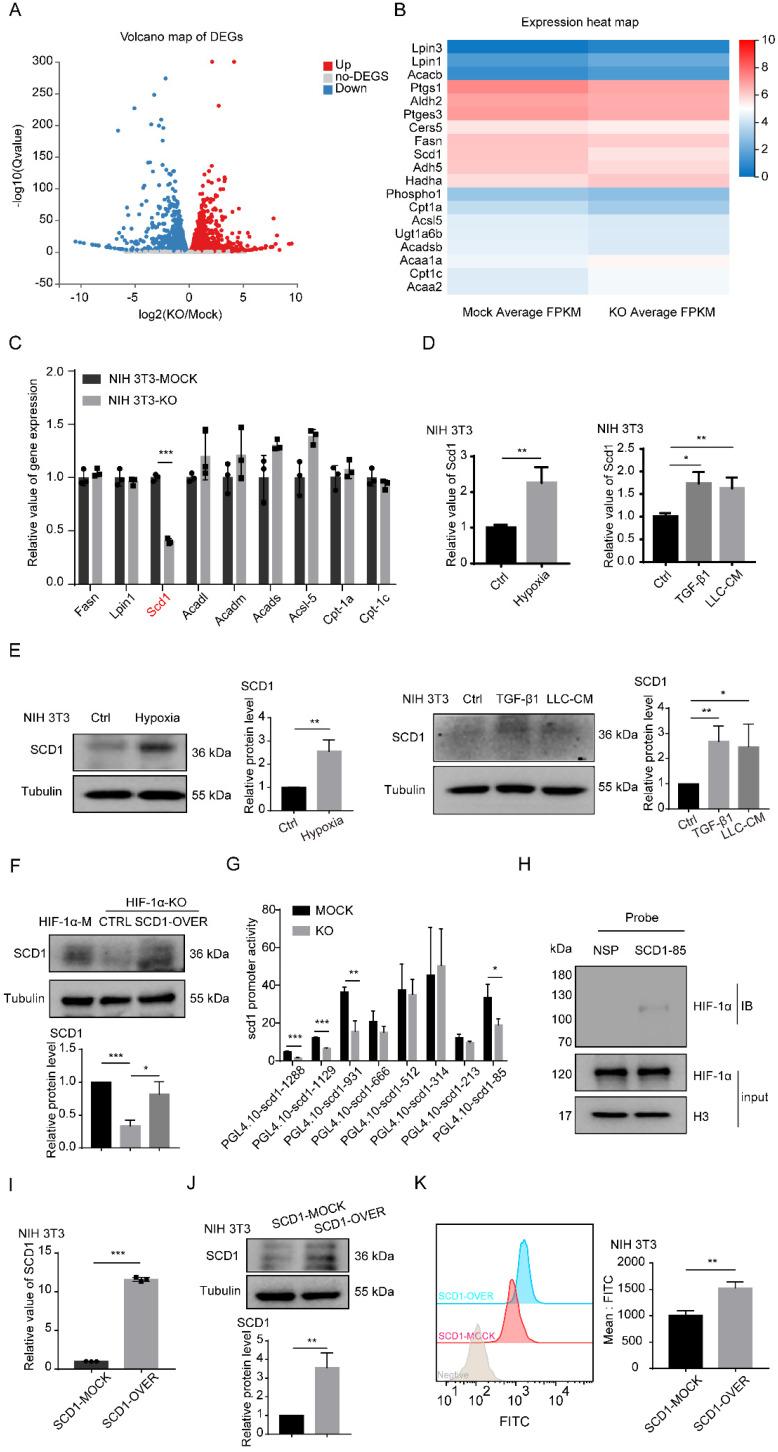 https://cdn.ncbi.nlm.nih.gov/pmc/blobs/a3f3/9682541/549a7af2427a/ijbsv18p6114g004.jpg