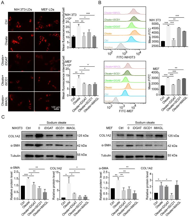 https://cdn.ncbi.nlm.nih.gov/pmc/blobs/a3f3/9682541/b3055ef6e641/ijbsv18p6114g002.jpg